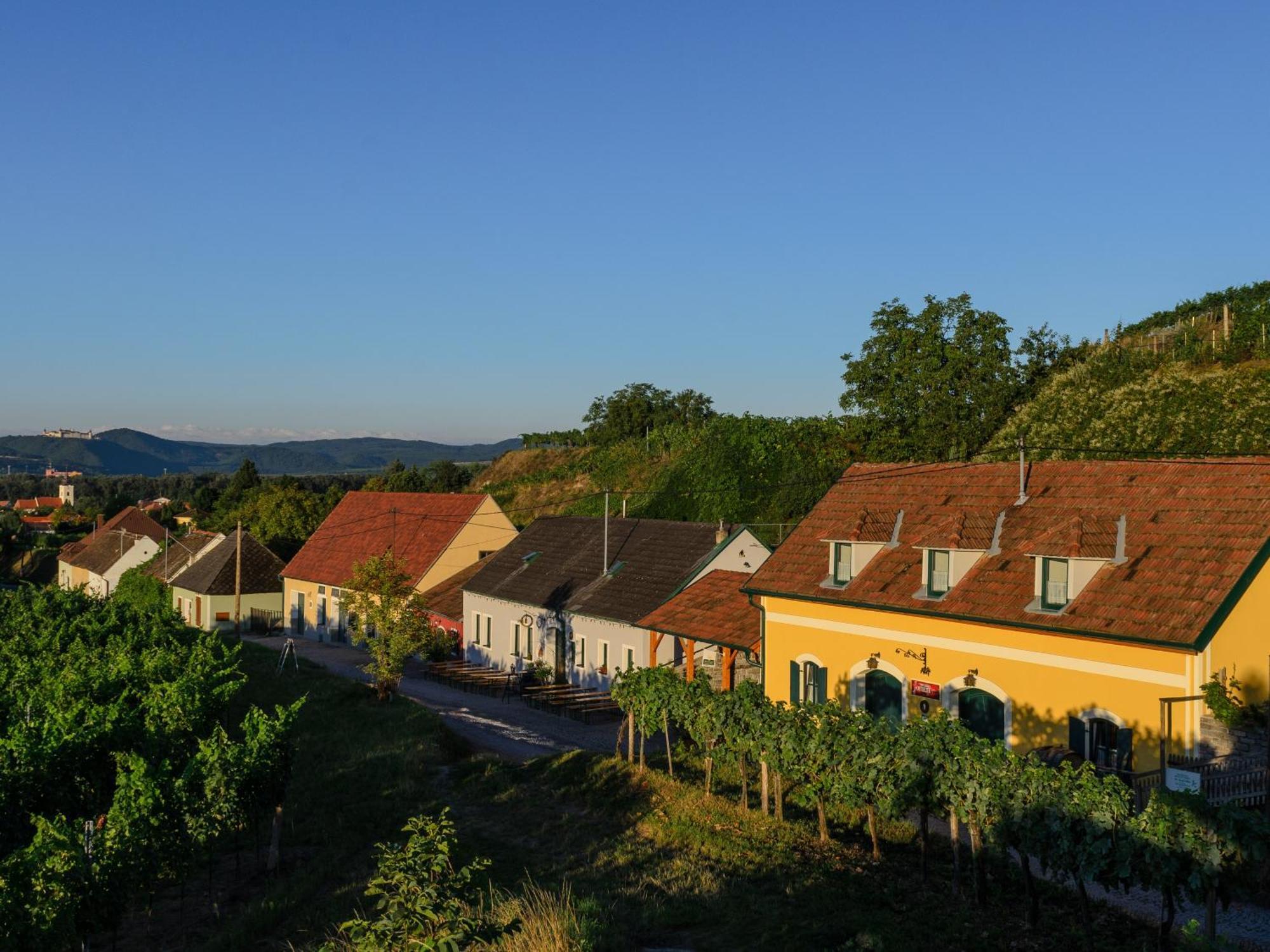 Gaestehaus Familie Trachsler Hotel Rohrendorf bei Krems Exterior foto